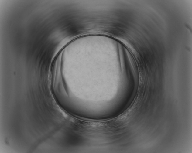 X0000091471294200709131745