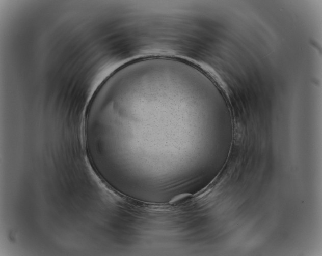 X0000091471295200709131745