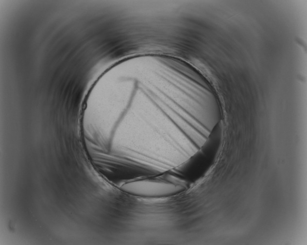 X0000091471296200709131745