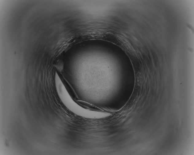 X0000091471298200709131745