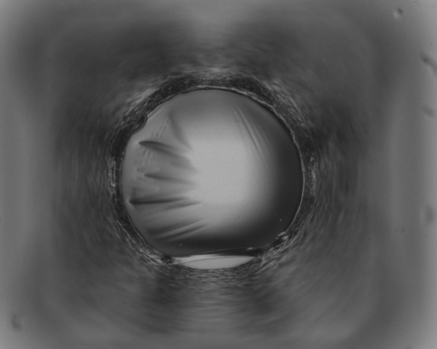 X0000091471301200709131745