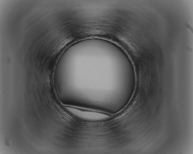 X0000091471305200709131745