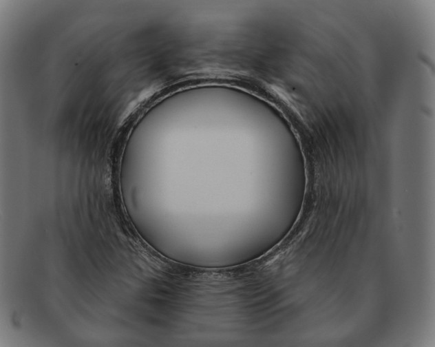 X0000091471307200709131745