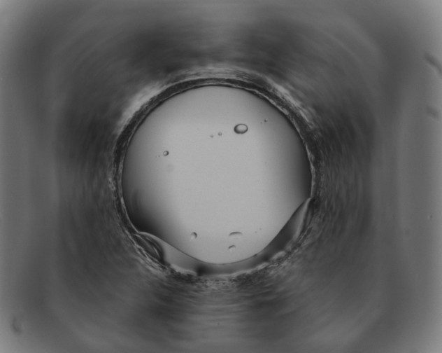 X0000091471312200709131745