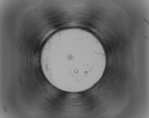 X0000091471314200709131745