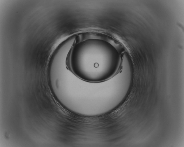 X0000091471320200709131745