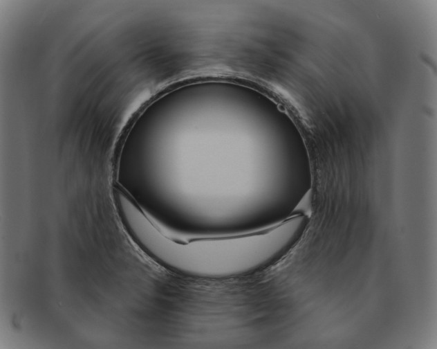 X0000091471326200709131745