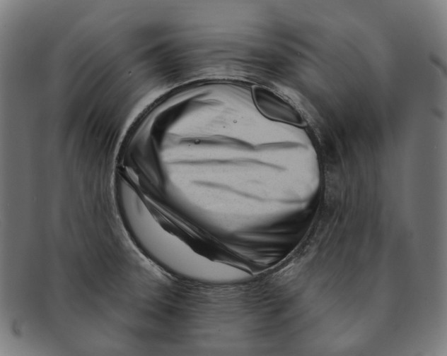 X0000091471331200709131745