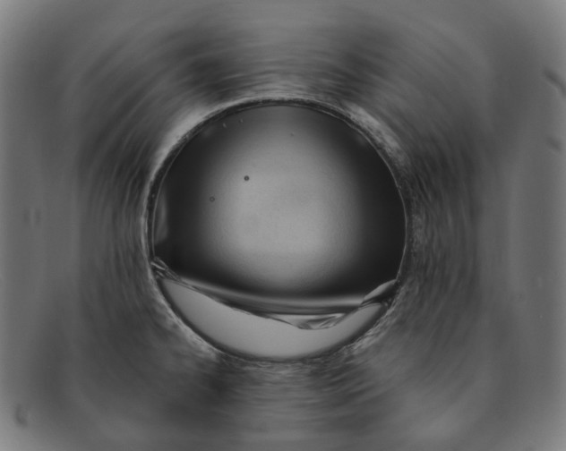 X0000091471334200709131745