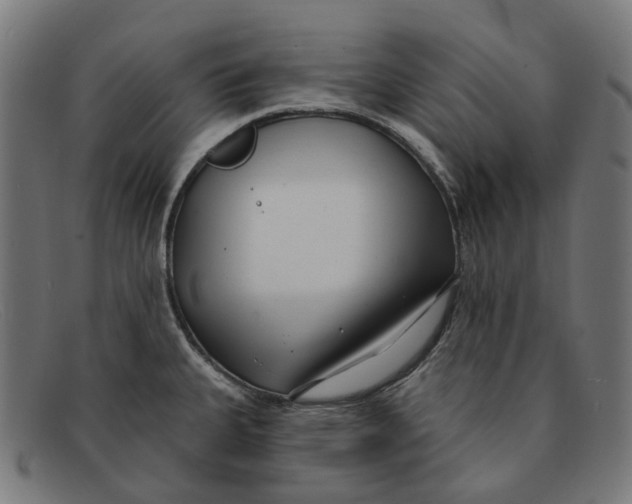 X0000091471335200709131745