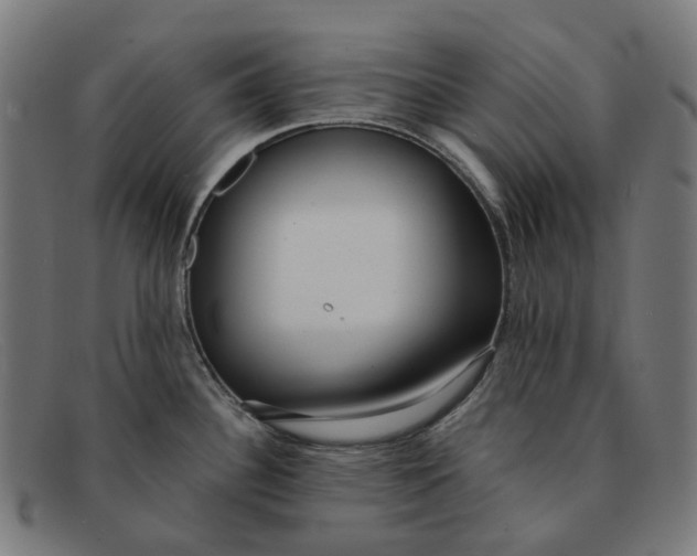 X0000091471340200709131745