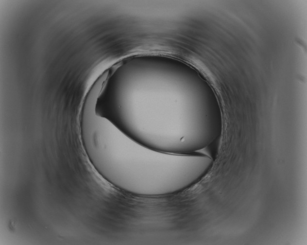 X0000091471344200709131745