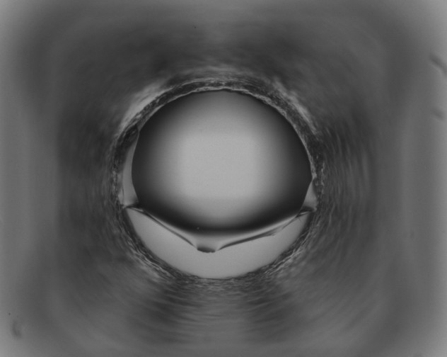 X0000091471352200709131744