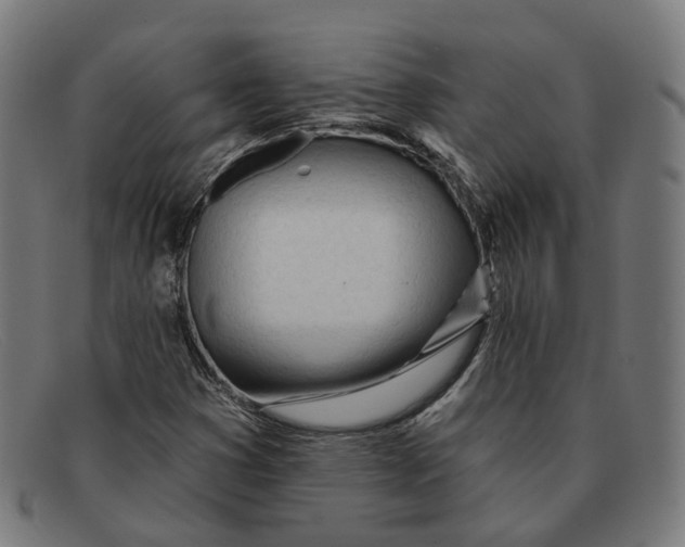 X0000091471353200709131744