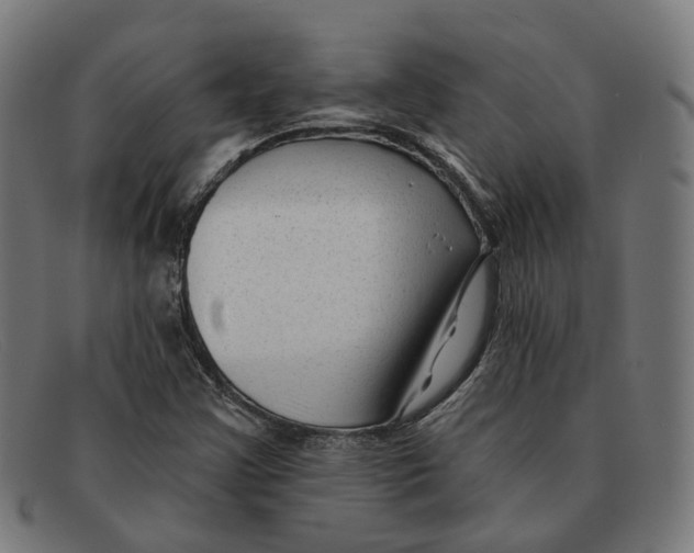 X0000091471355200709131744