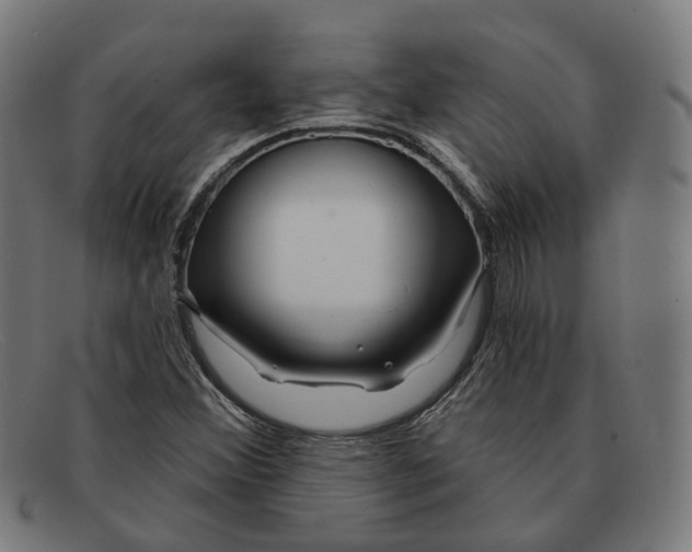 X0000091471356200709131744