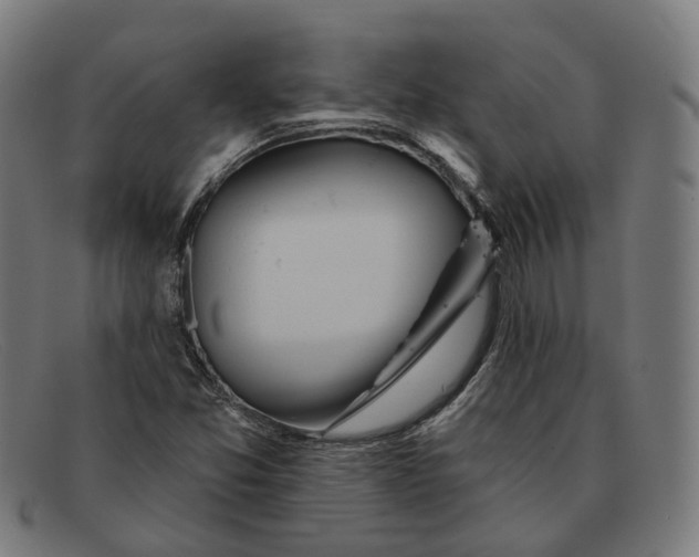 X0000091471357200709131744