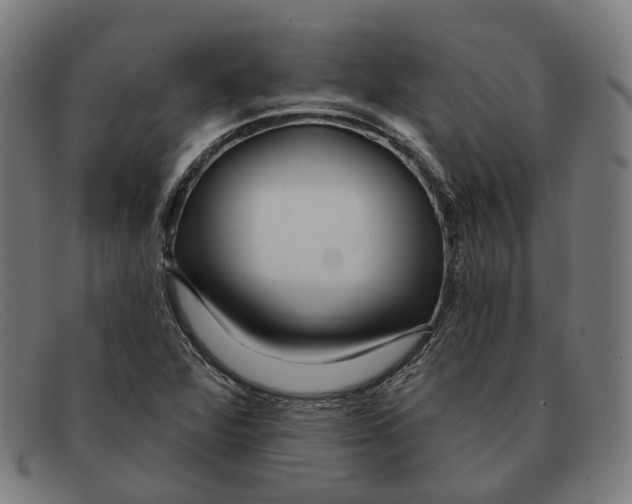 X0000091471360200709131744