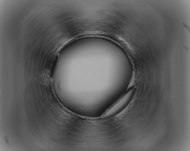 X0000091471361200709131744