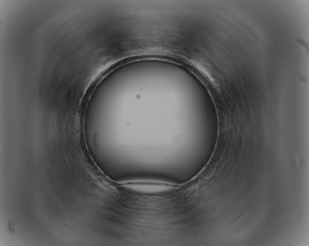 X0000091471364200709131744