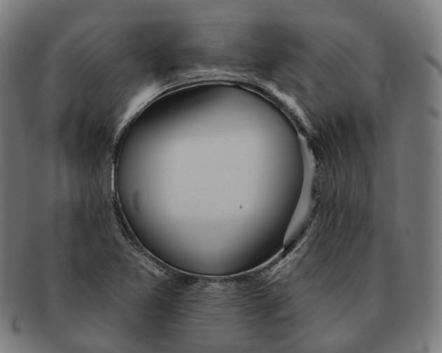 X0000091471365200709131744