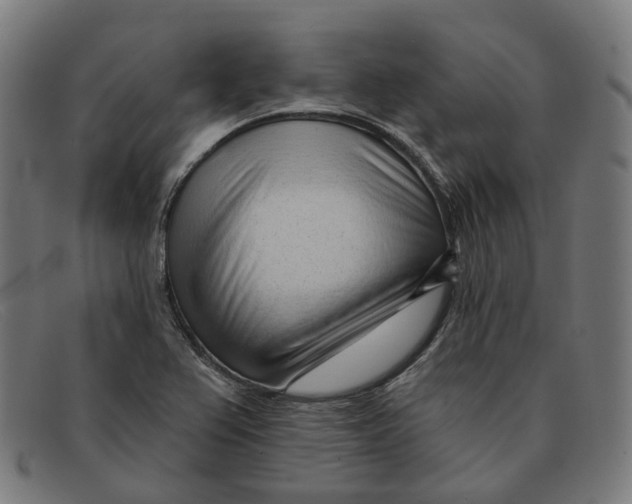 X0000091471367200709131744