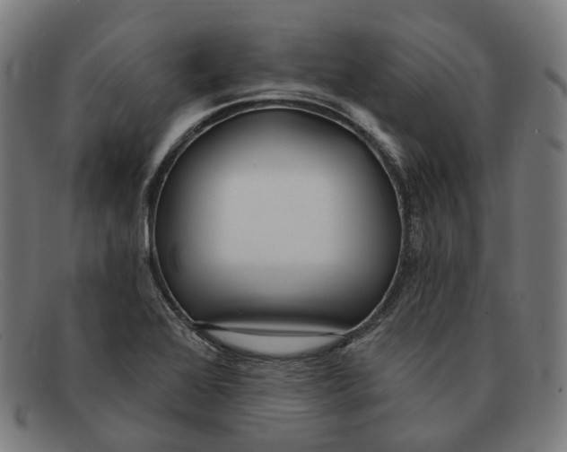 X0000091471368200709131744