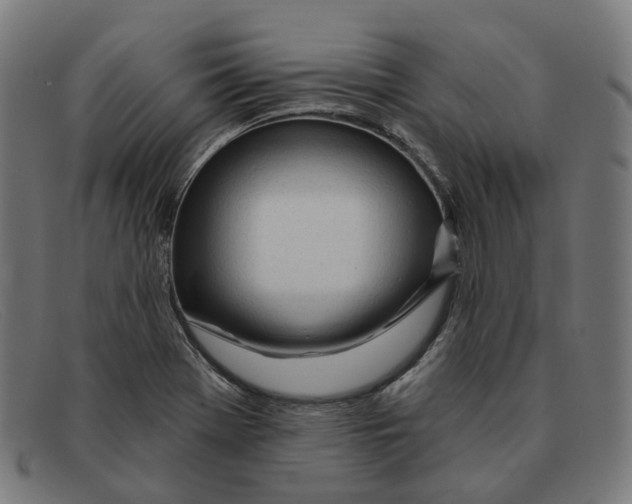 X0000091471369200709131744