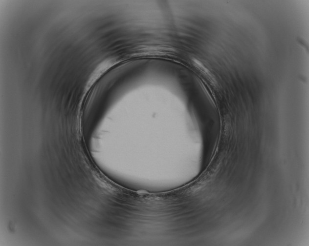 X0000091471370200709131744