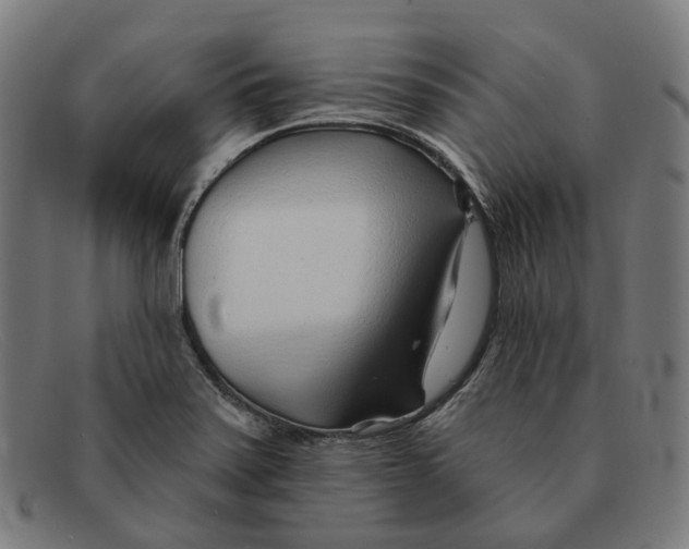 X0000091471371200709131744