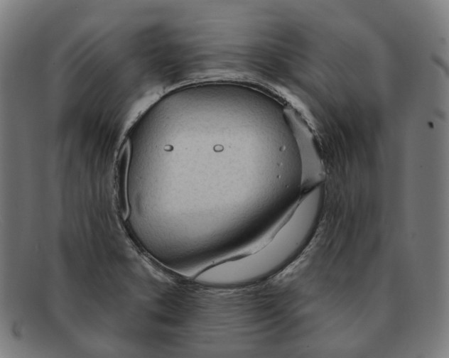 X0000091471373200709131744