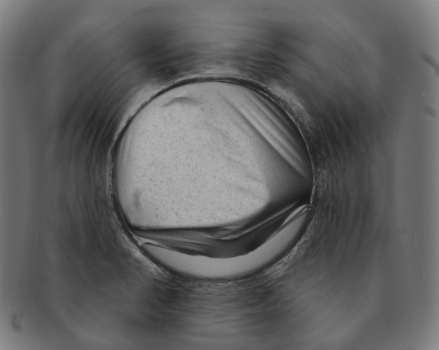 X0000091471374200709131744