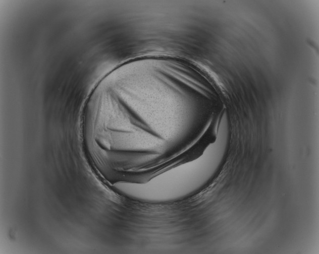 X0000091471375200709131744