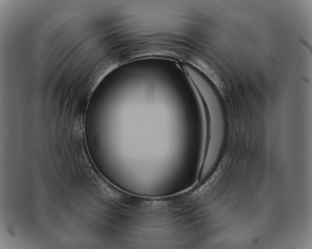 X0000091471377200709131744