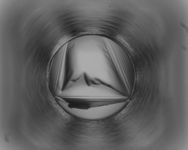 X0000091471378200709131744