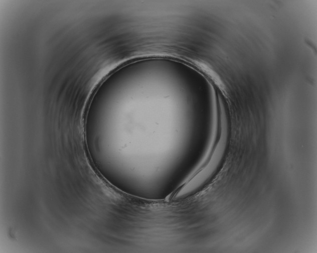 X0000091471380200709131744