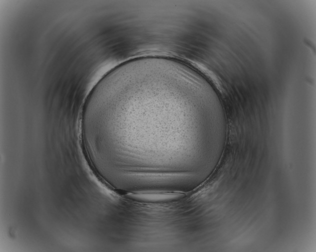 X0000091471383200709131744