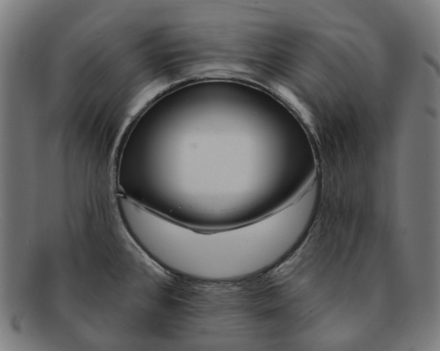 X0000091471384200709131744