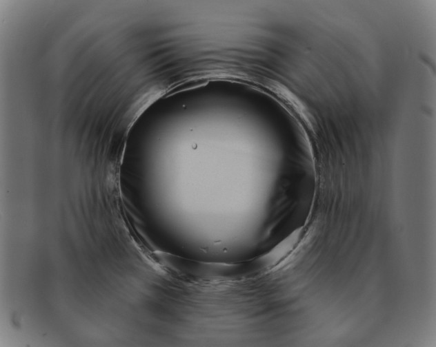 X0000091471385200709131744