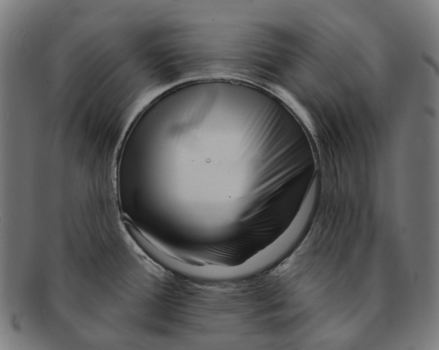 X0000091471388200709131744