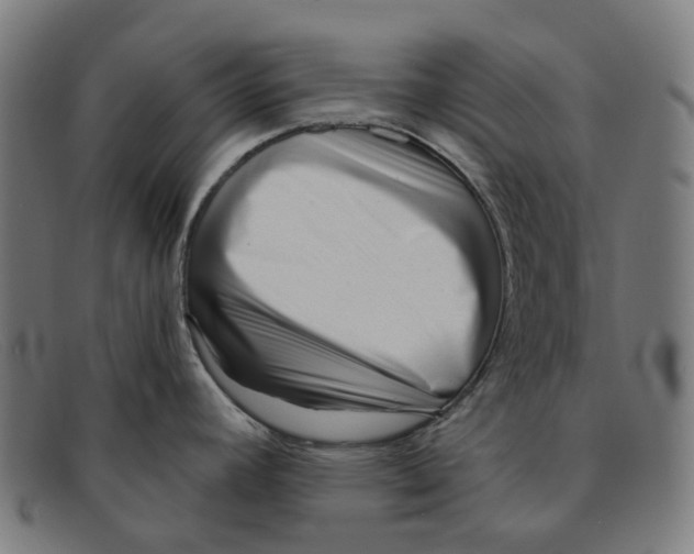 X0000091471392200709131744