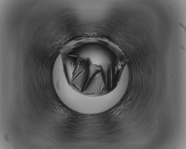 X0000091471394200709131743