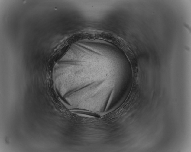 X0000091471397200709131743