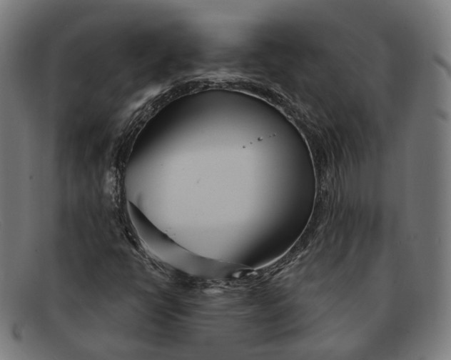 X0000091471398200709131743