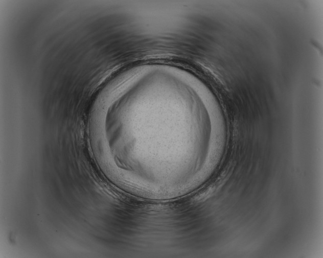 X0000091471401200709131744