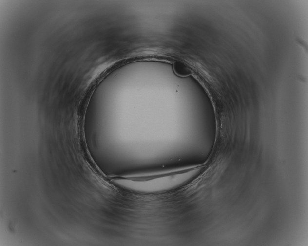 X0000091471404200709131744