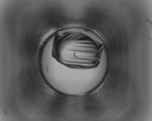 X0000091471406200709131744