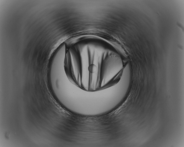 X0000091471410200709131744