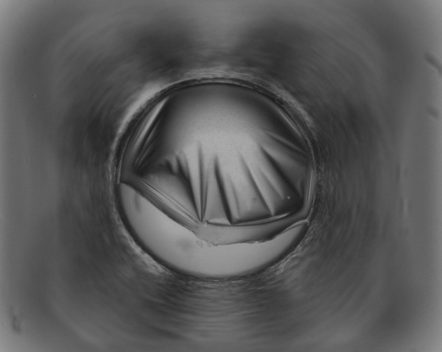 X0000091471416200709131744