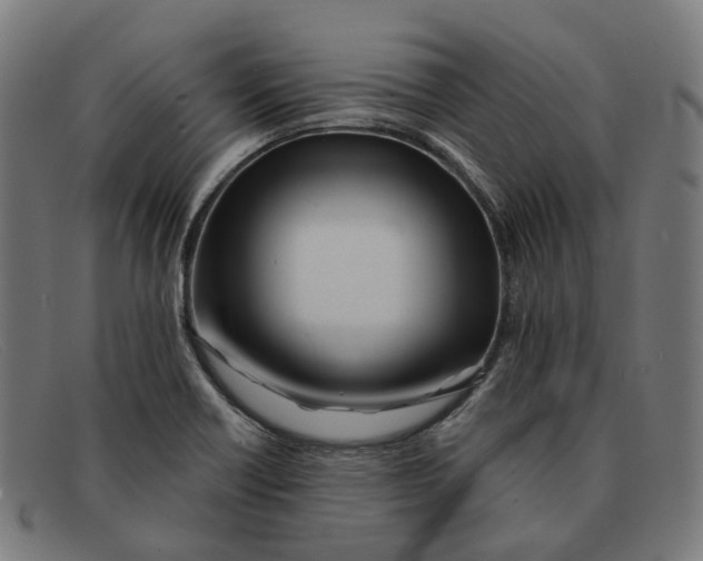 X0000091471418200709131744